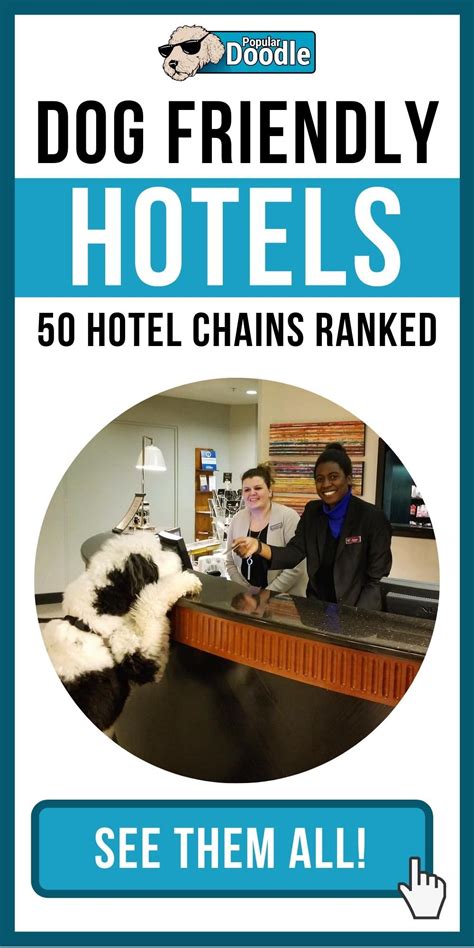 pet friendly hotel search|pet friendly hotel chains list.